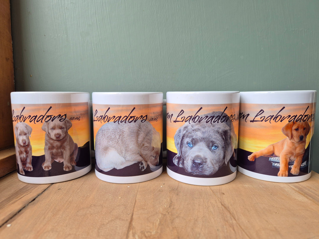 Skylit Labradors Mug