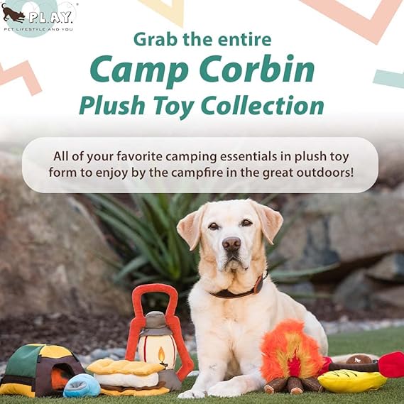 P.L.A.Y. Camp Corbin Cozy Campfire