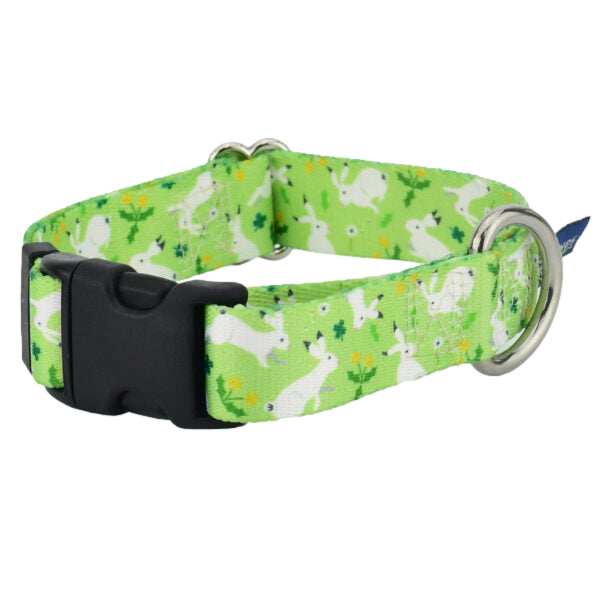LARGE EarthStyle Collars (Made from Recycled Plastic Bottles) -- Assorted Designs
