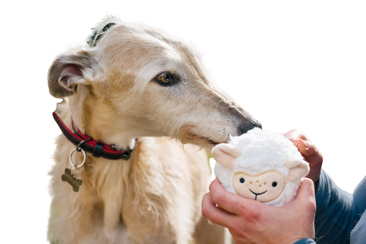 P.L.A.Y. Barnyard Buddies -- Sadie the Sheep