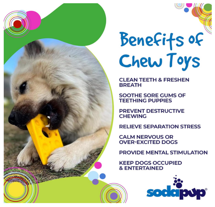 Swiss Cheese Wedge Chew Toy