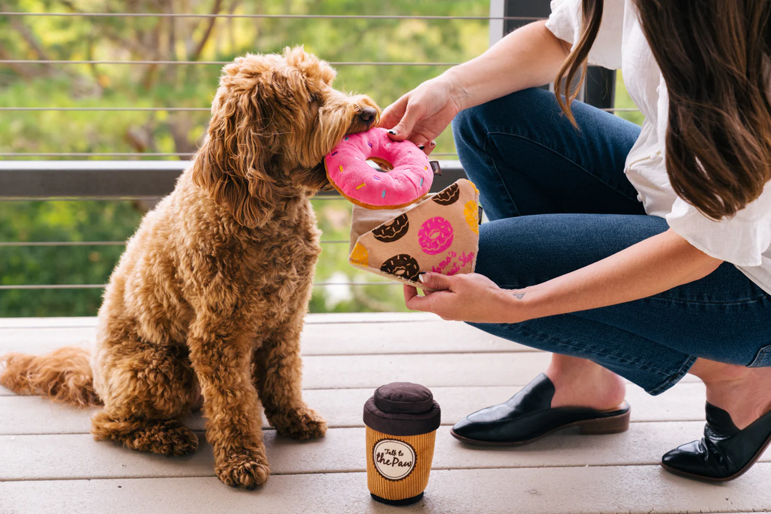 P.L.A.Y. Pup Cup Cafe Doughboy Donut