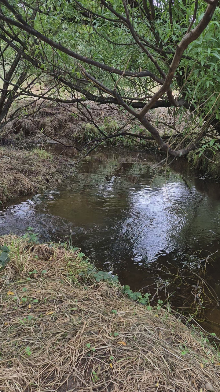 The Stream Explorer