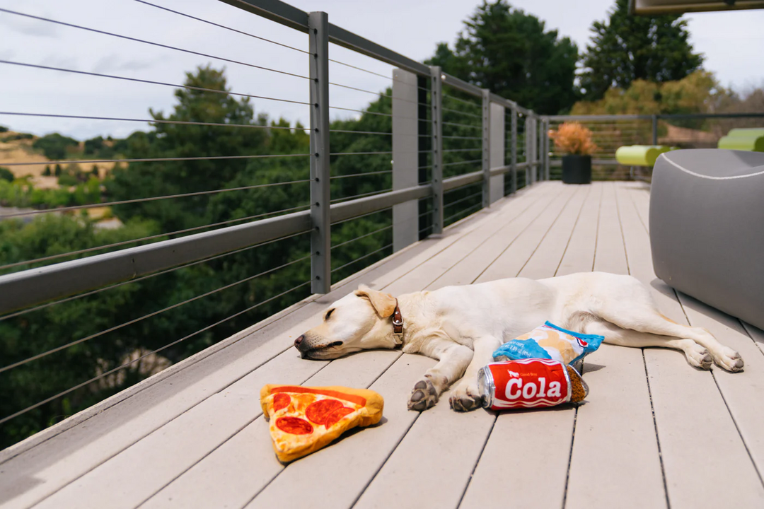 P.L.A.Y. Snack Attack Good Boy Cola