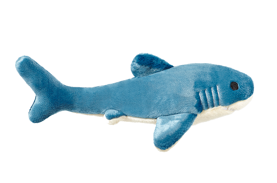 Tank Shark